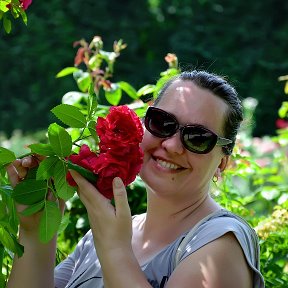Фотография "Вена, Фольксгартен - розовый сад"