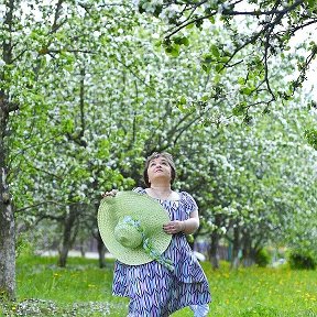 Фотография "Яблони в цвету, весны  творение. "