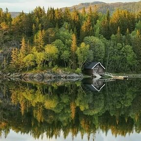 Фотография от Ирина Велижанина