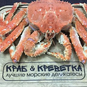 Фотография от море деликатесы крабы креветки