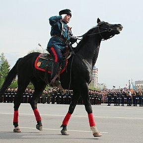 Фотография "Атаман Омского РКО подьесаул Вяткин В М  на Параде 9 мая -Соборная площадь г.Омск   Верный друг вороной донской породы  Кабул"