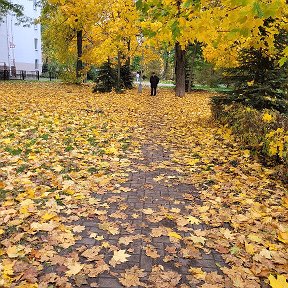 Фотография "Спасибо, жизнь, за праздник твой
Короткое свидание с Землей...."