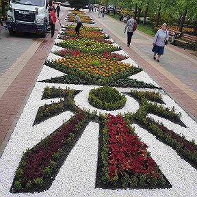 Фотография "Белгород 2022  клумба на стометровке...в этом году получилась шикарная, мои девочки настоящие мастера, равных их профессионализму нет - кто согласен ставим класс"