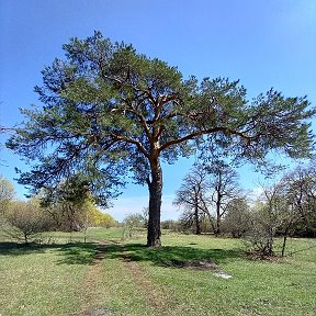 Фотография от Максим Баринов