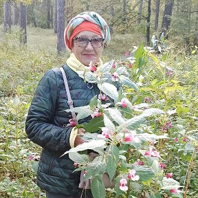 Фотография от Анастасия Груздова ( Синицына )