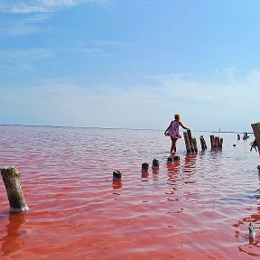 Фотография от Татьяна Киреева