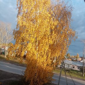 Фотография от Мария Суркова