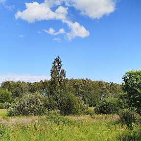 Фотография от Светлана Абрамова