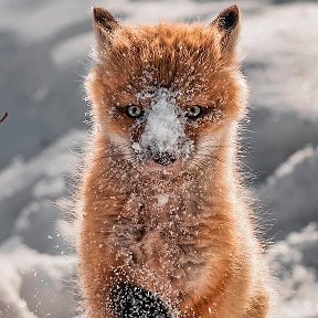 Фотография от Сергей М