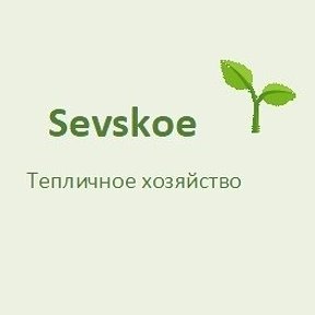 Фотография "Добро пожаловать в Тепличное хозяйство "Sevskoe"  !
Мы работаем круглый год. 
Одно из наших направлений- это рассада цветов и овощей. 
Очень скоро наступит май. Природа начнет просыпаться от долгой зимы. 
Мы будем рады Вам помочь в создании хорошего весеннего настроения! 

По всем интересующим вопросам, пишите или звоните 8-923-502-5775"