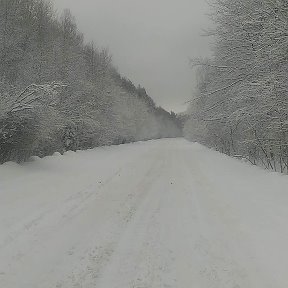 Фотография "Дорога Конаково-Ручьи 31.01.2018"