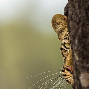 Фотография от Виктор Надин