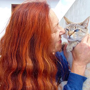 Фотография "Спокойно прожить жизнь — вот что сегодня кажется самым невероятным приключением.
Эрих Мария Ремарк 
"Триумфальная арка""