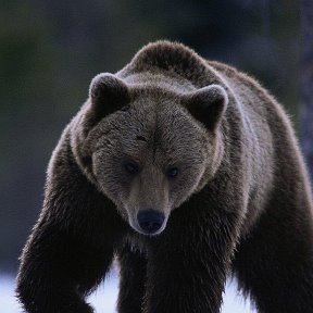 Фотография от Павел Верховых