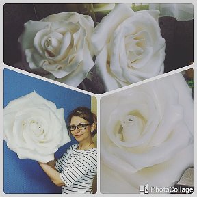 Фотография "Моя работа, мои розы!"