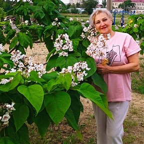 Фотография от Наталья Свечкарева