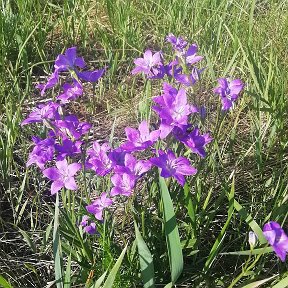 Фотография от Наталья 🌸 