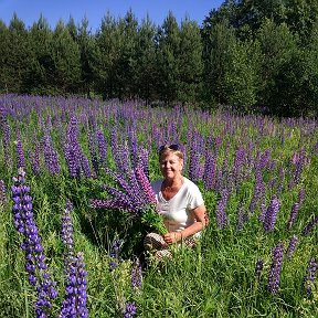 Фотография от Любовь Ступникова(Миронова)