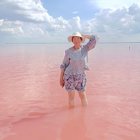 Фотография "Розовое озеро Бурсоль"