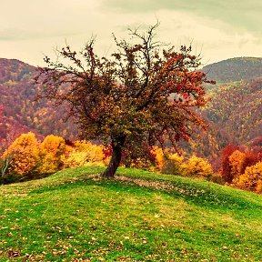 Фотография от Билкиз Бурханова