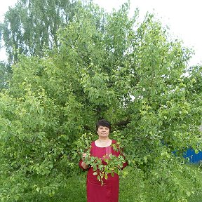 Фотография от Елена Ткаченко