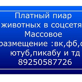 Фотография от Платный пиар в интернете