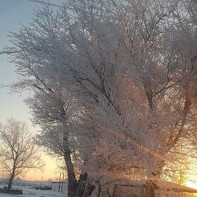 Фотография от елена Гураль (Бесчетнова)