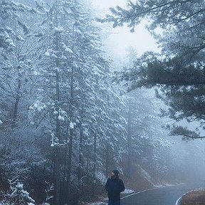 Фотография от Андрей Крючков