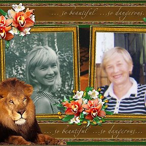 Фотография "Слева львица молодая, справа  - в  зрелом возрасте"