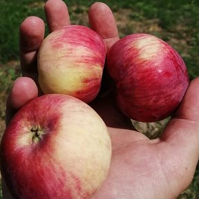 Фотография от Алёна Былкова