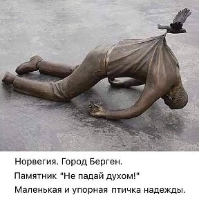 Фотография от Ольга Гилёва