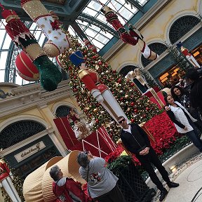 Фотография "Las Vegas, Bellagio 2016"