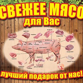 Фотография от Свежее Мясо