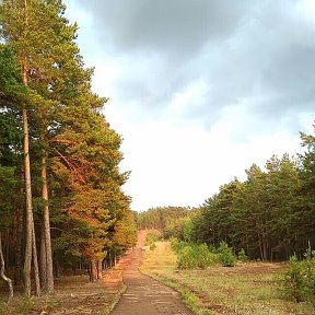 Фотография от зейнеп сайфутдинова