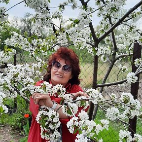 Фотография от Пелагея Подплетько