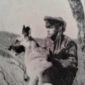 Фотография "На высоких берегах Амура..... Лето 1969 г. с Ральфом на службе. П\з №1 "Ермаково" Шимановский ПО."