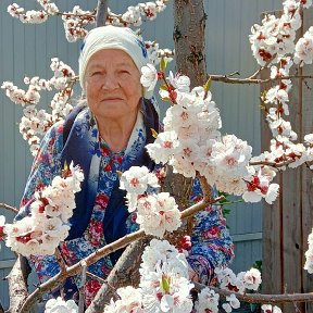 Фотография от Гузалия Нигматуллина