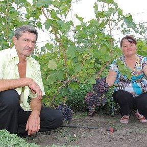 Фотография от Сергей Павленко