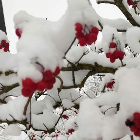 Фотография от Наташка Ромашка