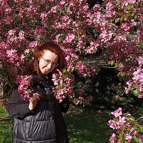 Фотография от Татьяна Ячменникова (Фоменко)