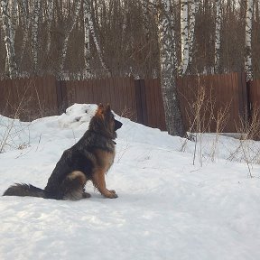 Фотография "Мы подросли!!!!!"