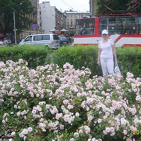 Фотография от Наталья Кузнецова(Малышева)