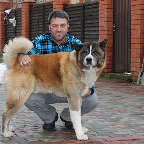 Фотография от александр тимофеев