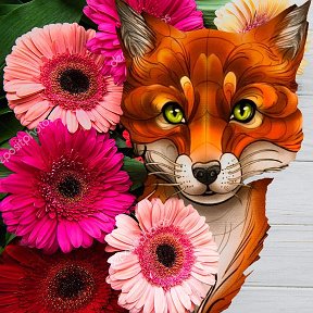 Фотография от Flower Fox