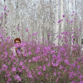 Фотография "Волшебная роща"