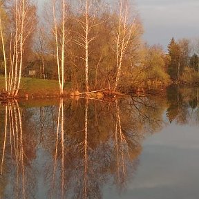 Фотография от Александр Анисифоров