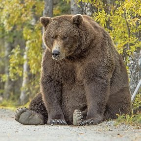 Фотография от Игорь Николаевич Рубаков