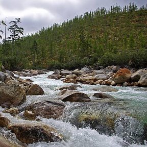 Фотография от сергей лизогуб