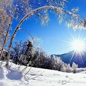 Фотография от Солнце Солнышко