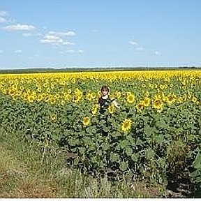 Фотография от ОЛЬГА ГУБАНОВА